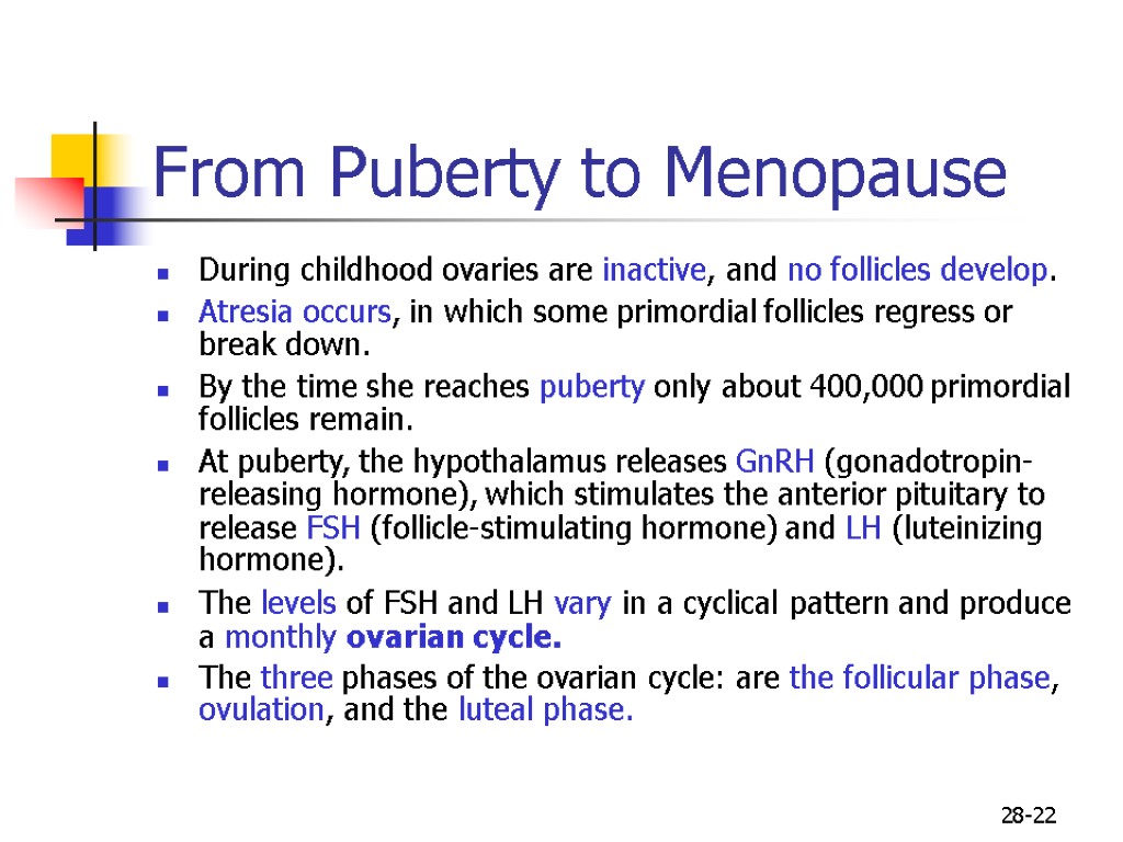 28-22 From Puberty to Menopause During childhood ovaries are inactive, and no follicles develop.